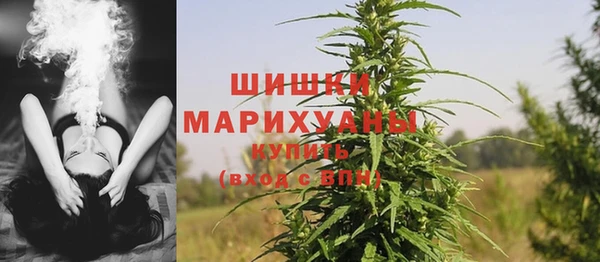 спайс Михайлов
