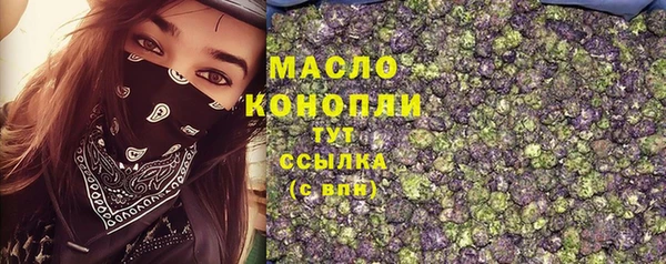 дмт Билибино